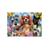 Educa Puzzle 200 Piezas Selfie Pet Parade - 19293