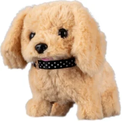 Mascottas Peluquería Canina