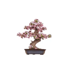 Sakura Bonsai Rompecabezas 3D