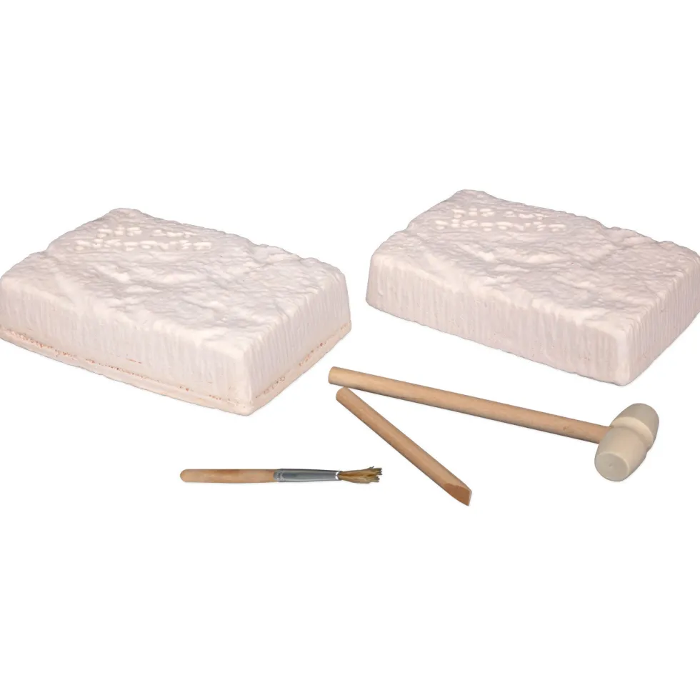 Scientific Tools Set de Excavación
