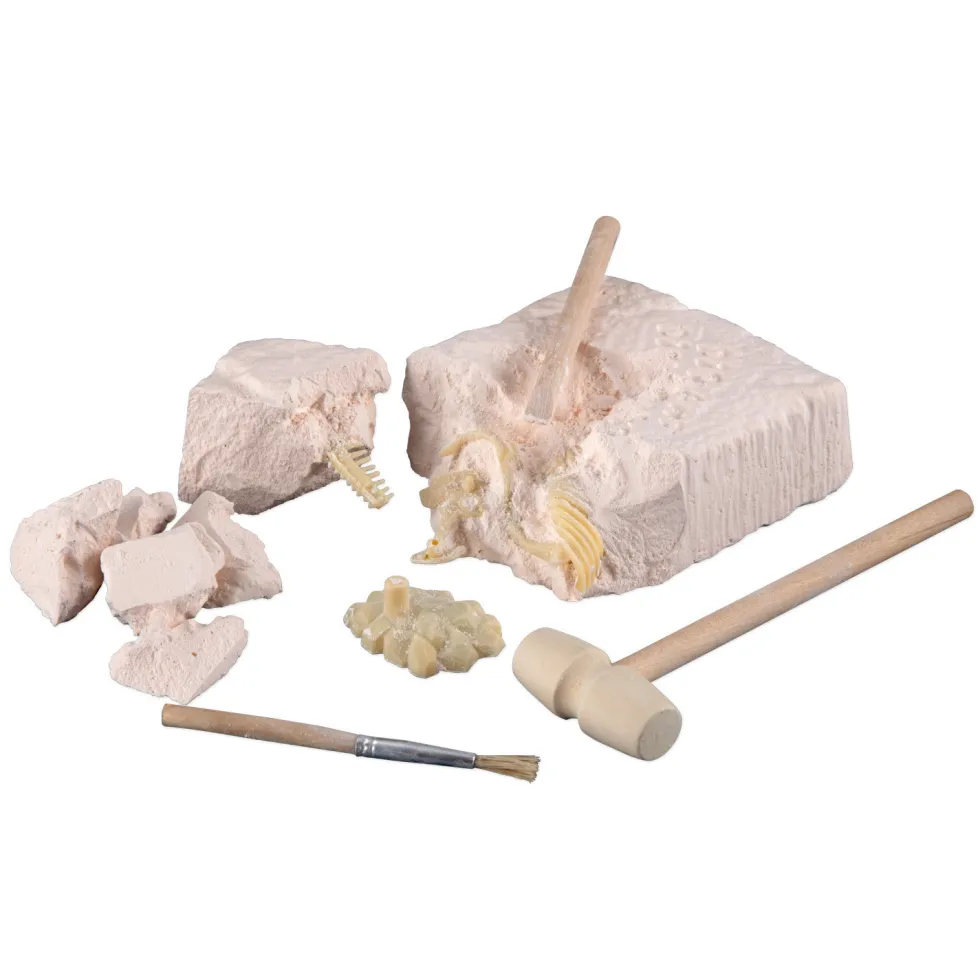Scientific Tools Set de Excavación